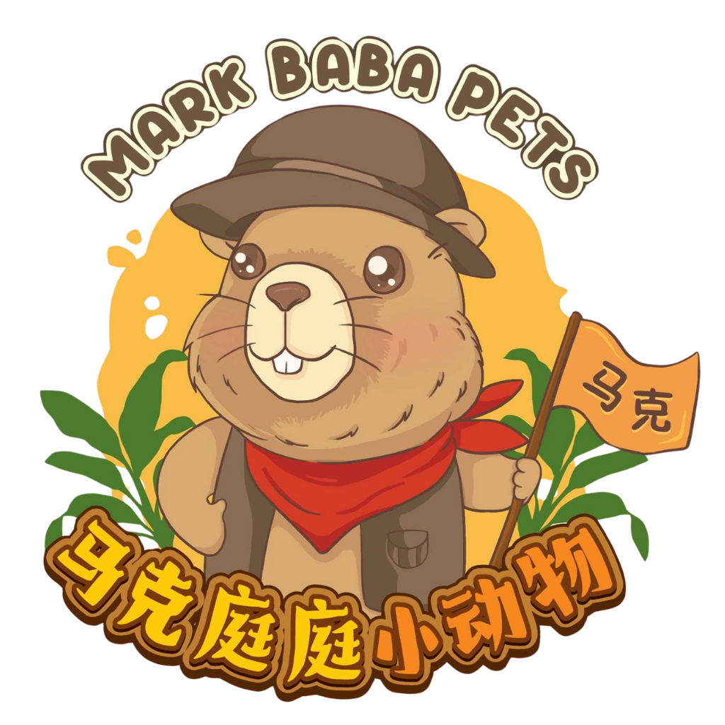 Untitled design (14)