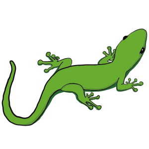 icon02