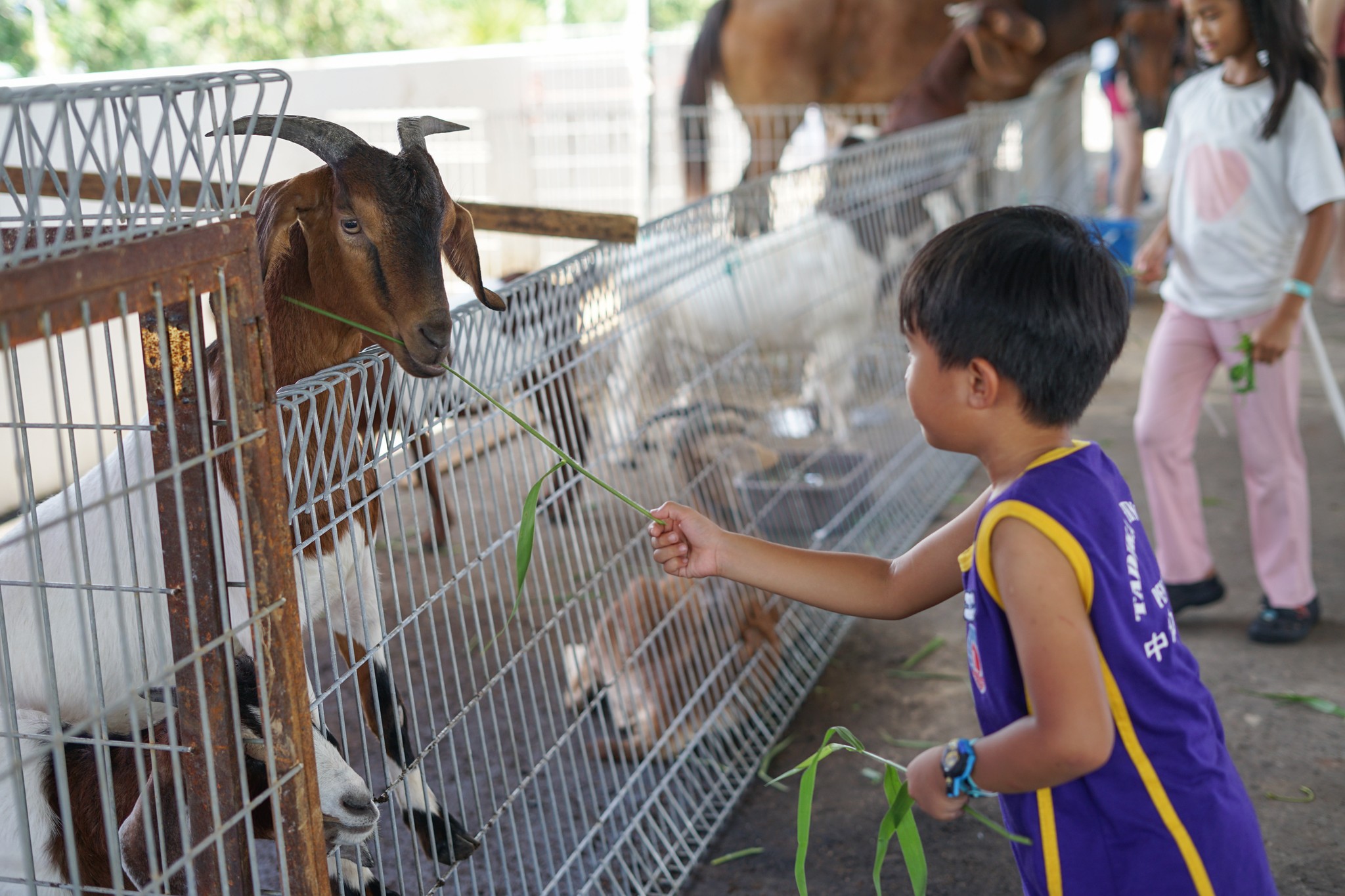 449842610_361648896997060_6164020089538889897_n