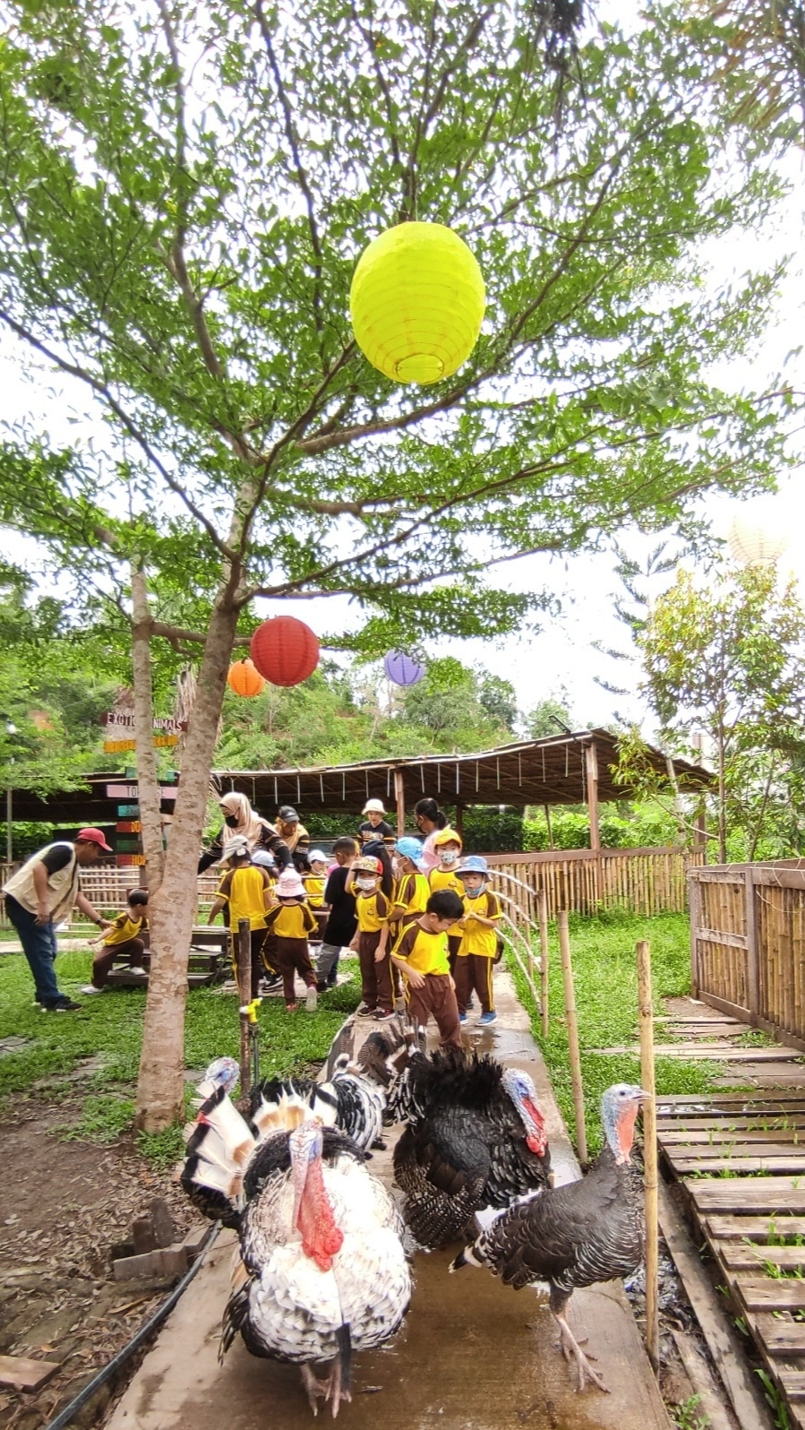 PHOTO-2022-09-16-17-59-53