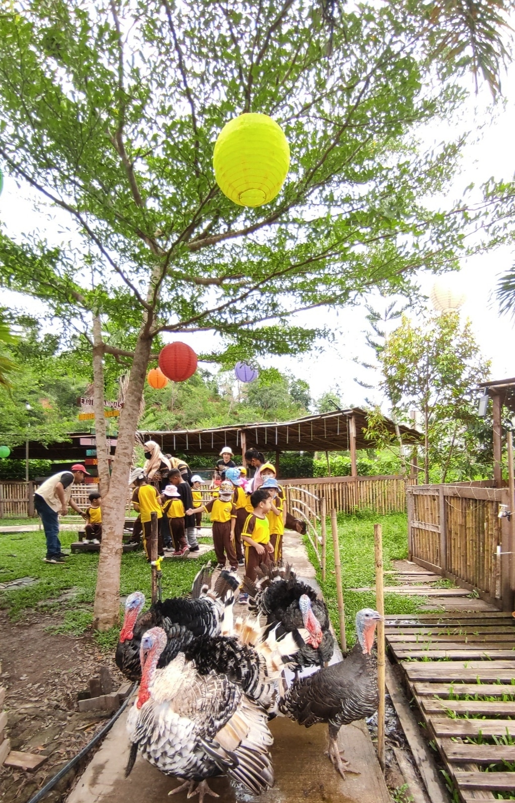 PHOTO-2022-09-16-18-00-00