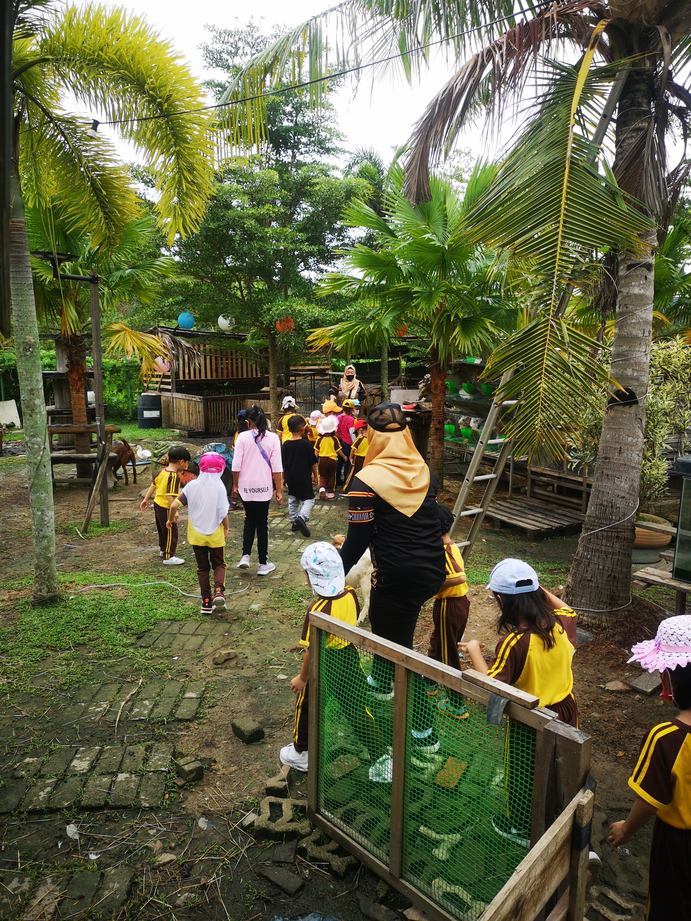 PHOTO-2022-09-16-18-04-06 3