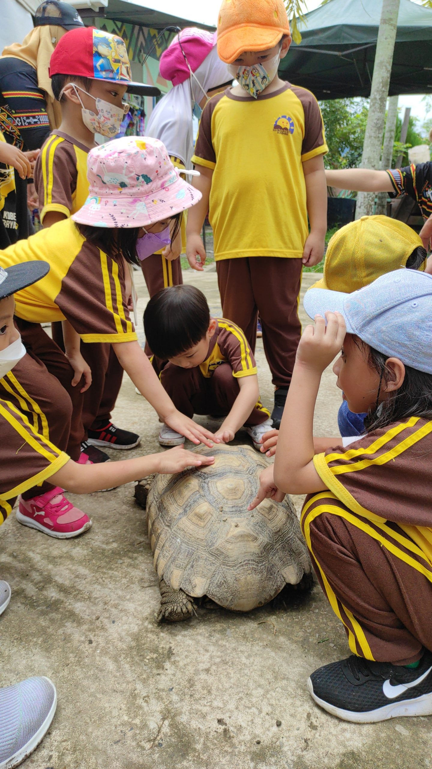 PHOTO-2022-09-16-18-10-25