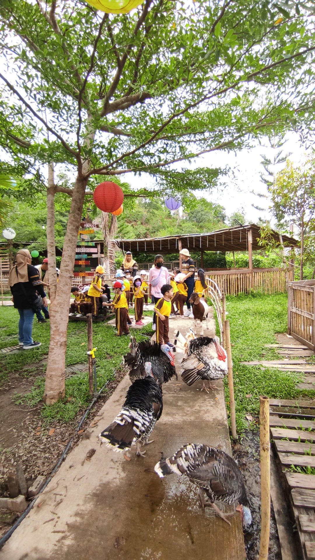 PHOTO-2022-09-16-18-10-26