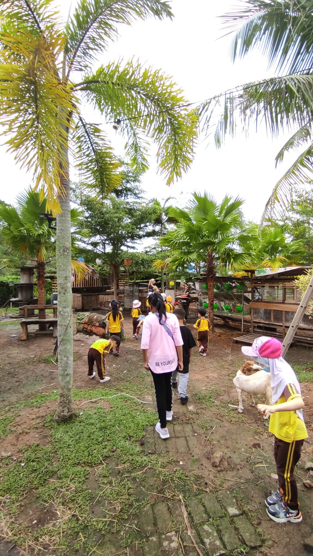 PHOTO-2022-09-16-18-11-37