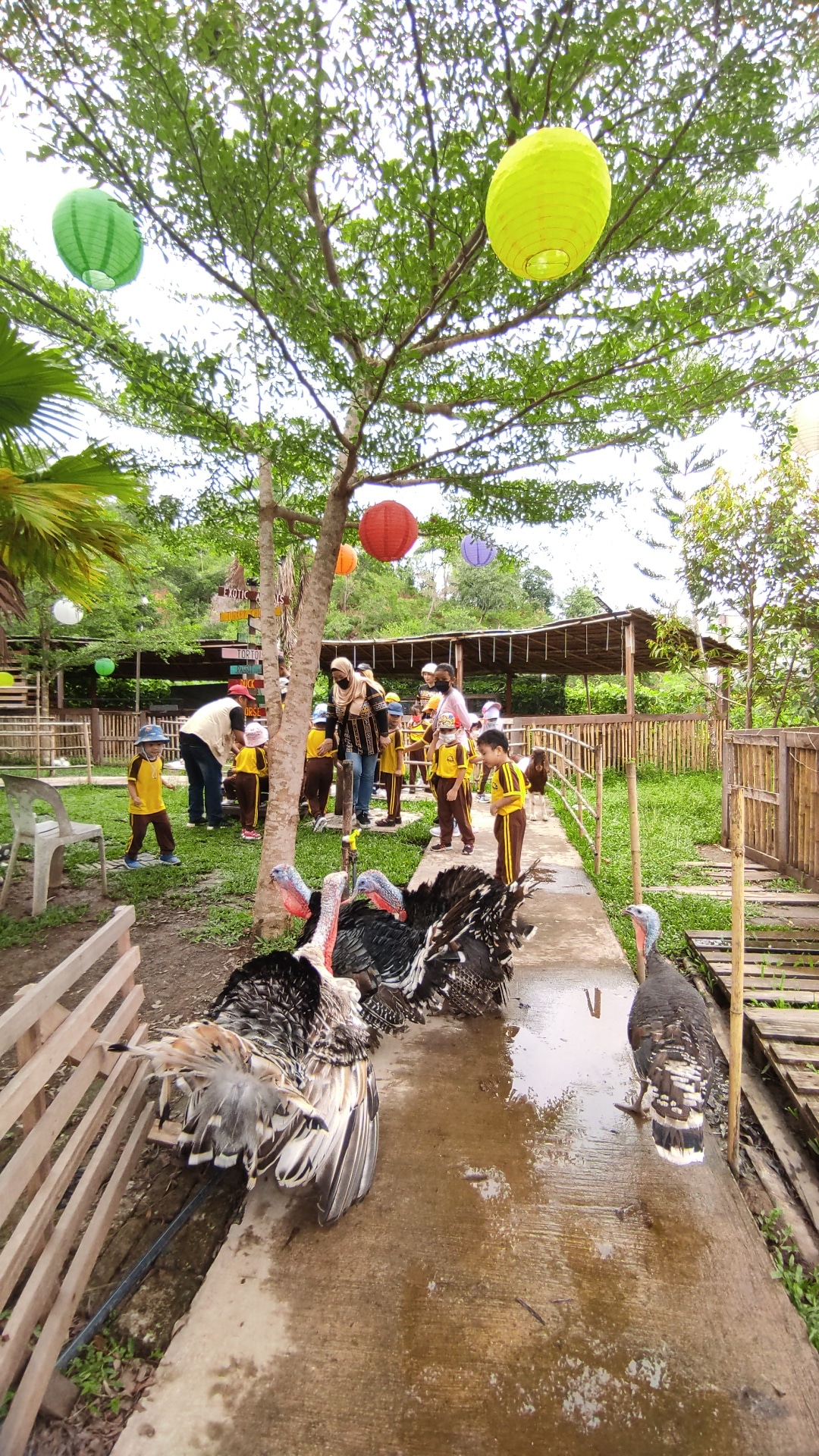 PHOTO-2022-09-16-18-11-39