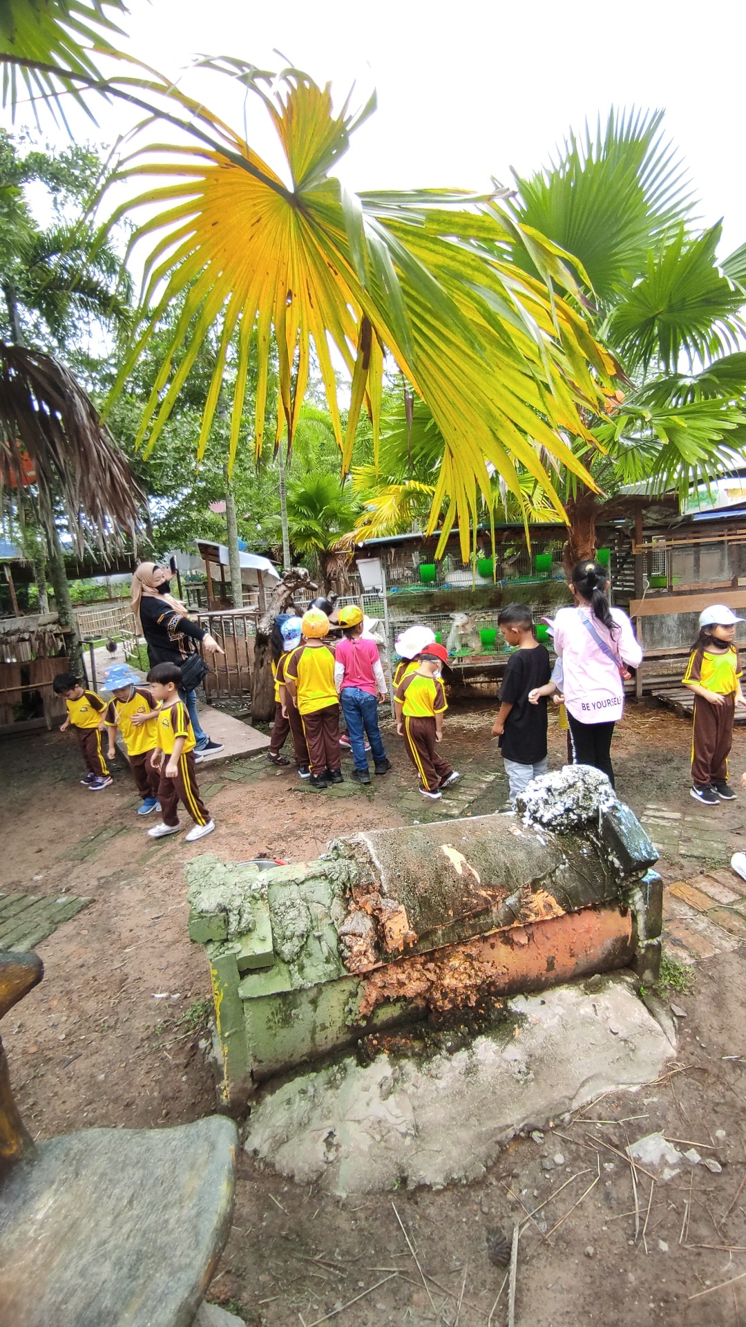 PHOTO-2022-09-16-18-11-42