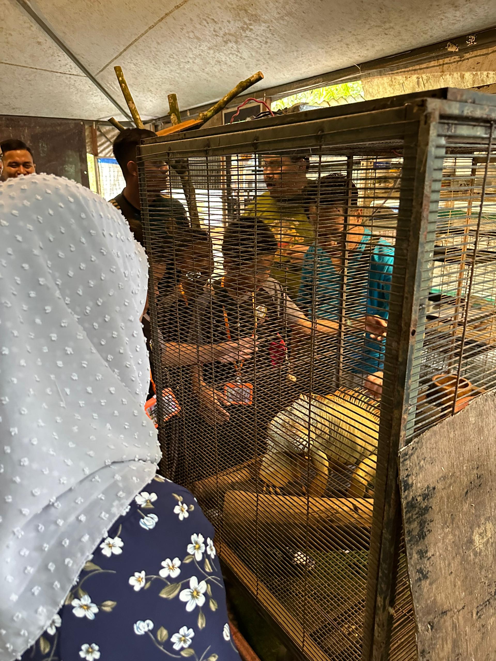 PHOTO-2023-12-02-15-20-54